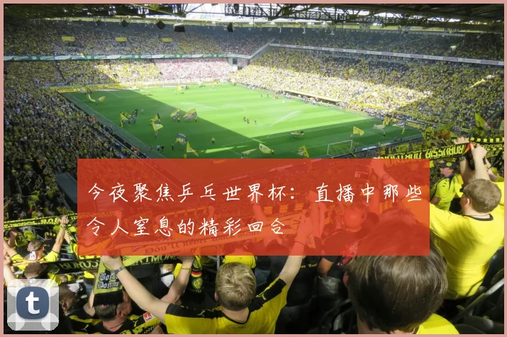 今夜聚焦乒乓世界杯：直播中那些令人窒息的精彩回合