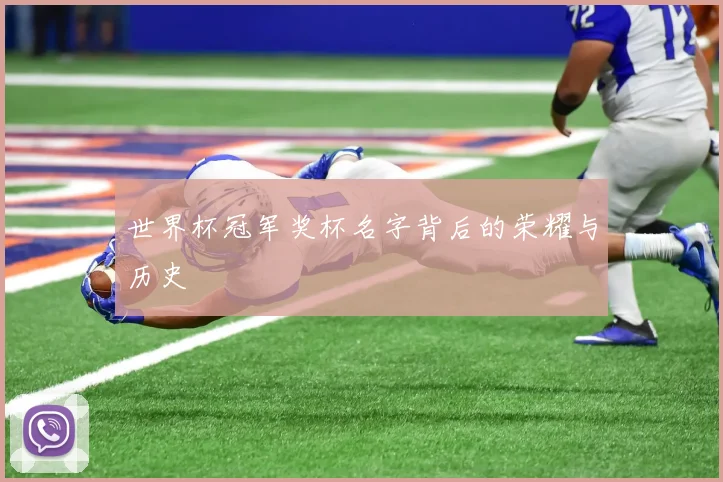 世界杯冠军奖杯名字背后的荣耀与历史