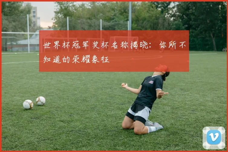 世界杯冠军奖杯名称揭晓:你所不知道的荣耀象征