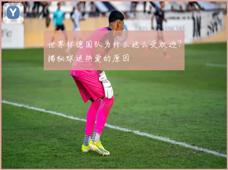 世界杯德国队为什么这么受欢迎?揭秘球迷热爱的原因