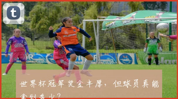 世界杯冠军奖金丰厚，但球员真能拿到多少？